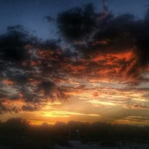 Meet your Posher, Ilia